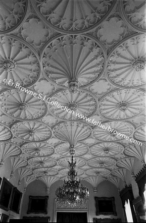 SHELTON ABBEY CEILING OF SALOON